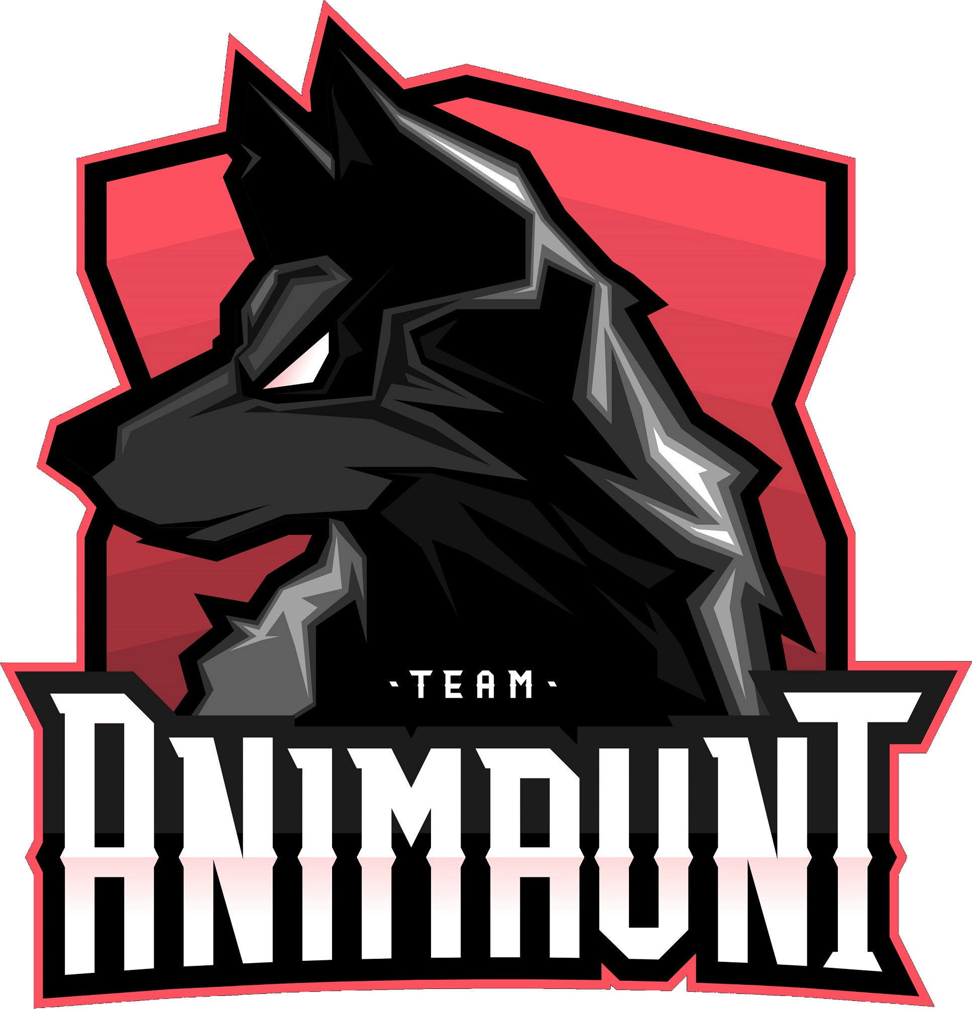 AniMaunt Team рвется в бой!